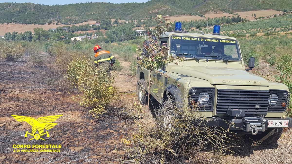 Oschiri, incendio in agro: Forestale in azione