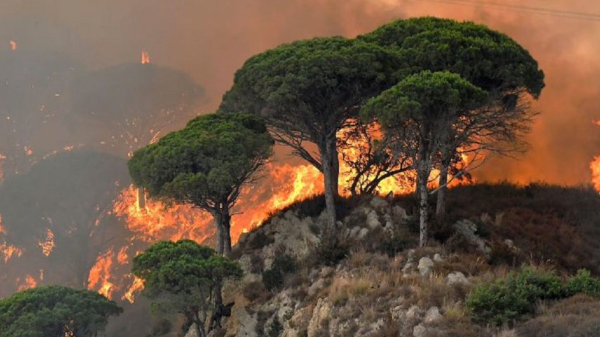 Gallura, 40 anni dall'incendio a Curraggia. Solinas: 