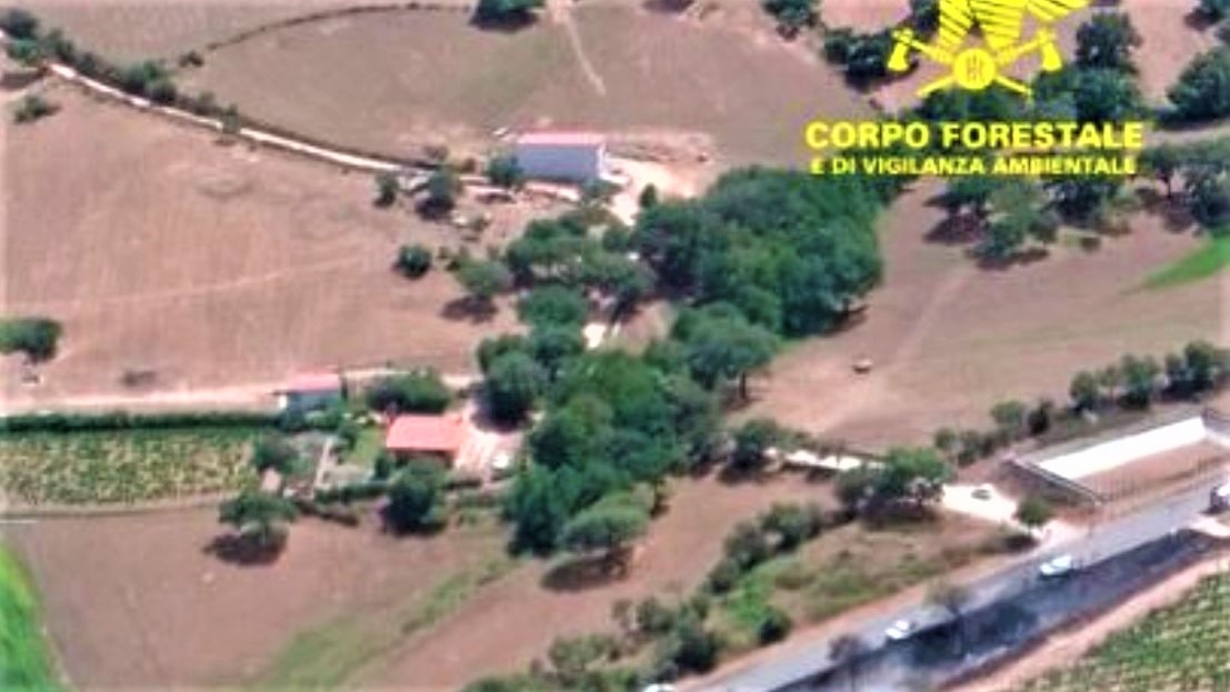 Sardegna flagellata dalle fiamme: 29 gli incendi, colpito anche il territorio di Calangianus