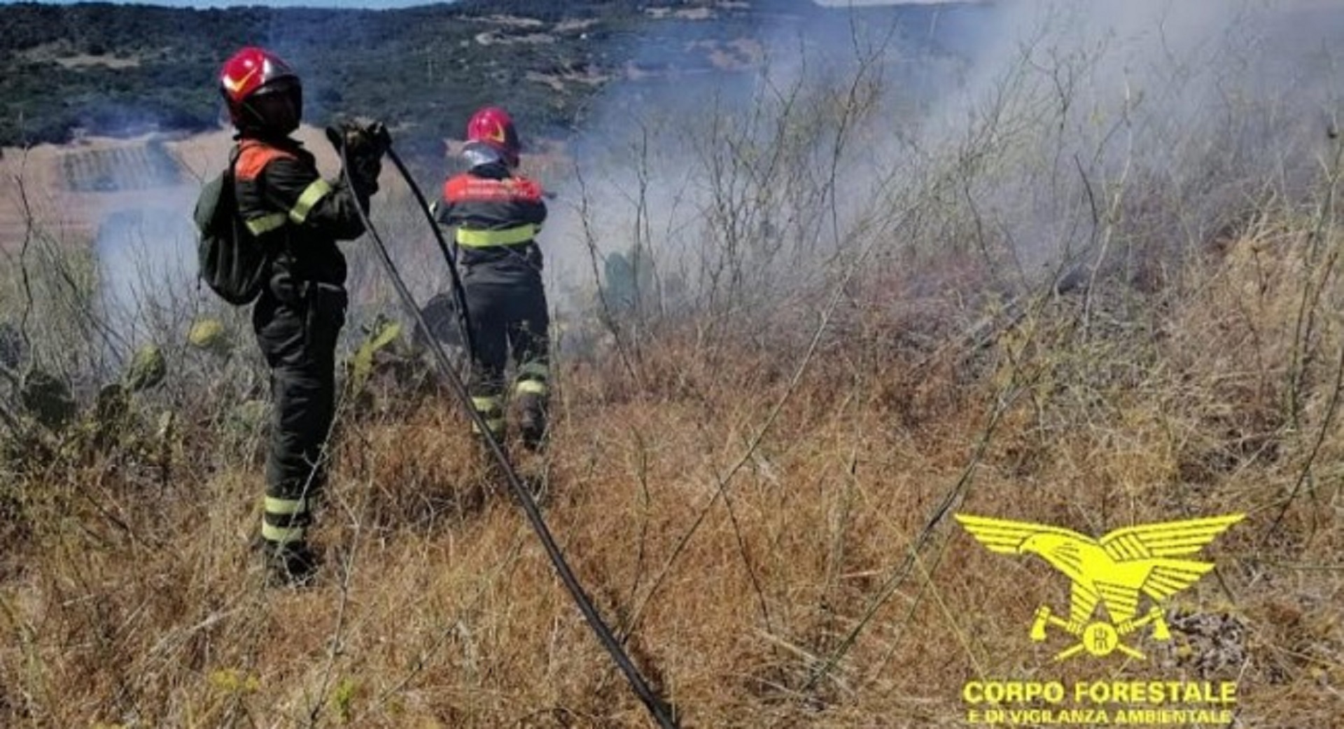 Sardegna, oggi 19 incendi: Corpo forestale in azione