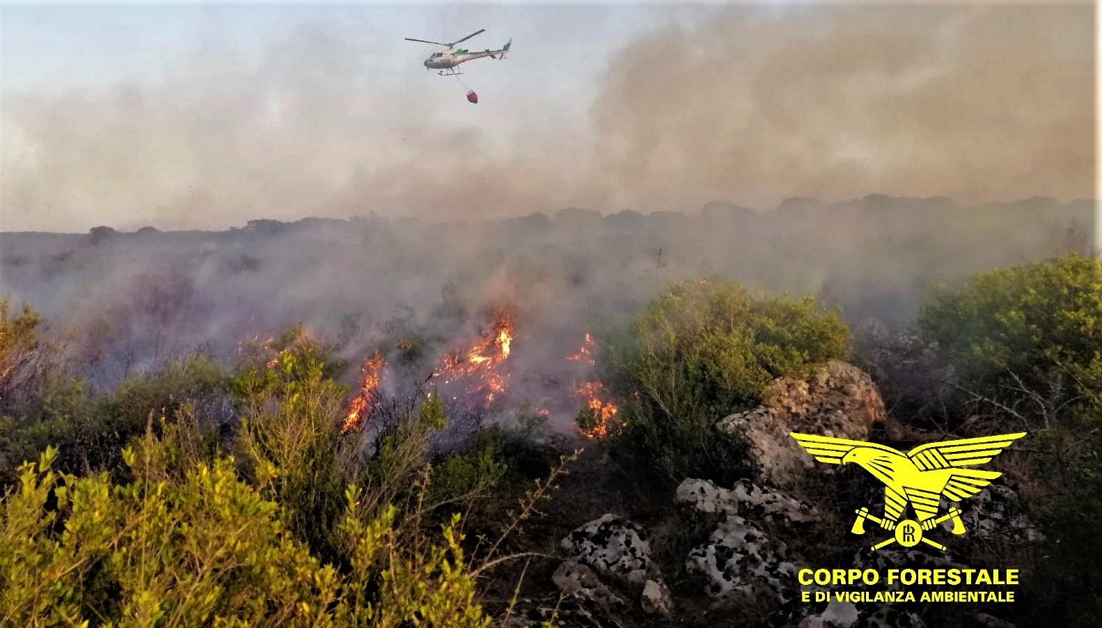 Sardegna: spenti 11 incendi in poche ore