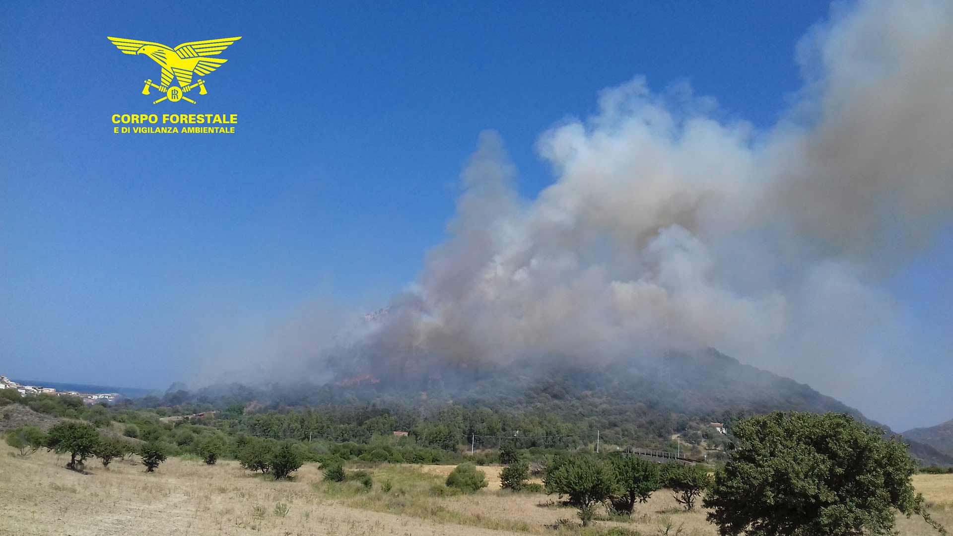 Tanti incendi in Sardegna: 3 elicotteri per spegnere il rogo di Olbia