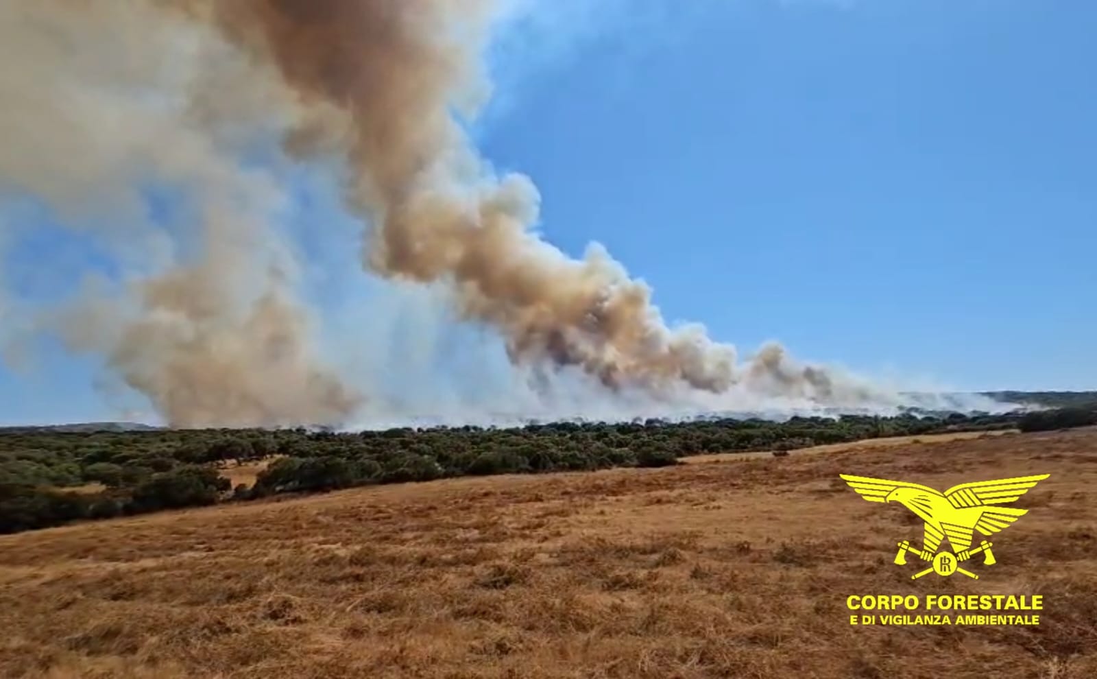 Olbia, incendio nelle campagne