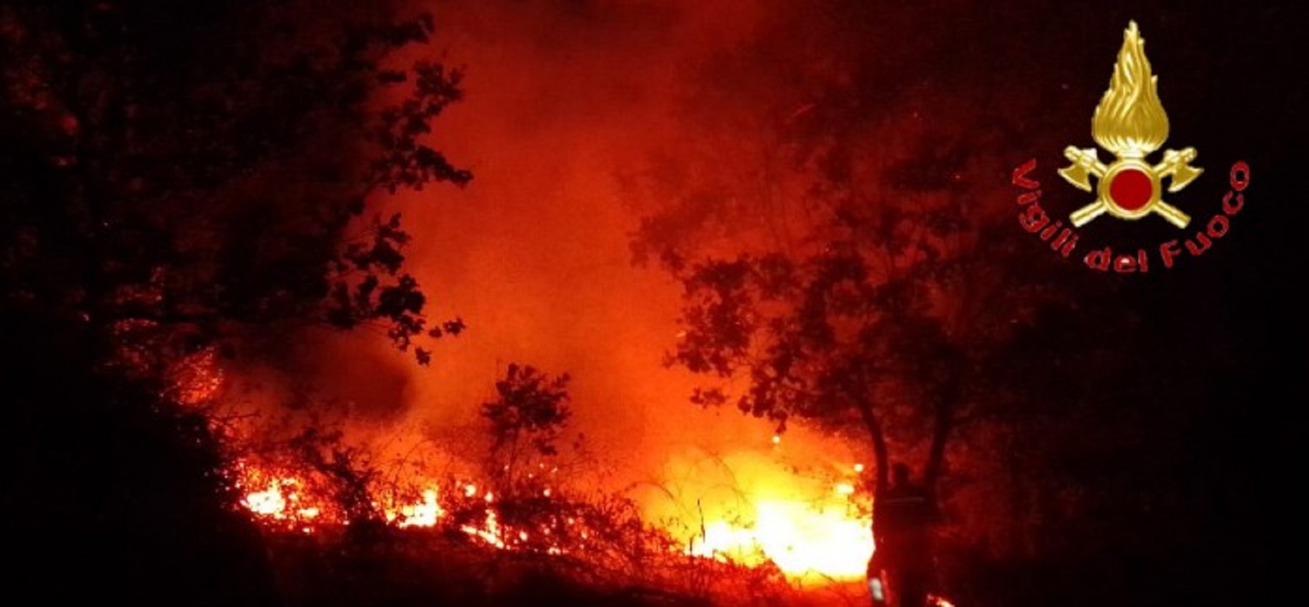 Grosso incendio di vegetazione: Vigili del Fuoco a lavoro per 5 ore
