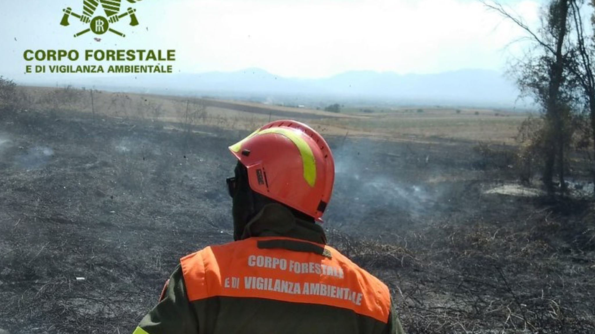 Gallura in fiamme: incendi ad Enas e Loiri Porto San Paolo