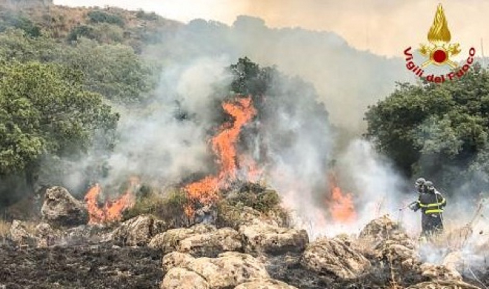 Vasto incendio: fiamme vicine alle abitazioni, Vigili del fuoco in azione