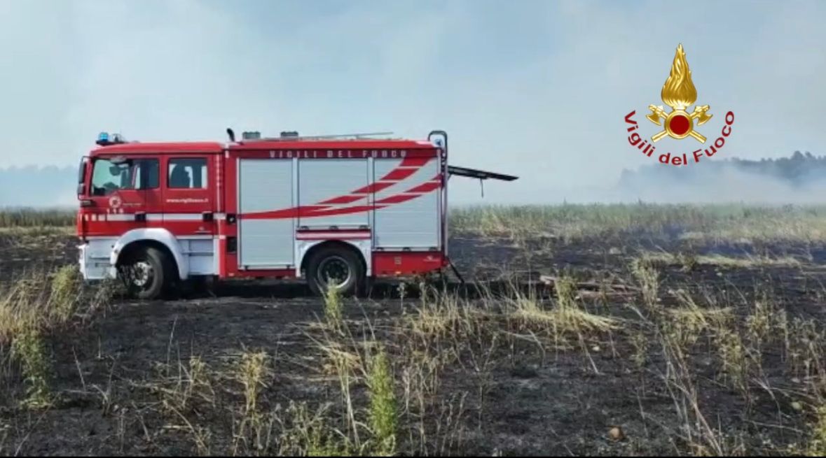 Vasto incendio di vegetazione: fiamme vicino alle case e aziende agricole