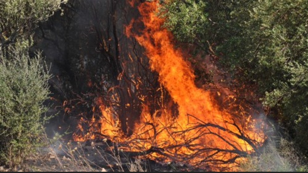 Olbia in allerta rossa: attivato il Centro Operativo Comunale per rischio incendi estremo