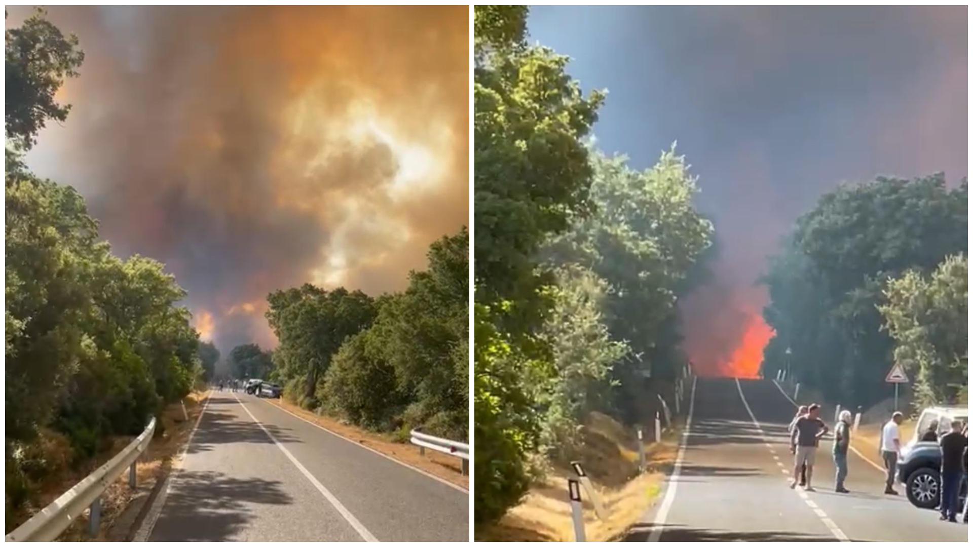 Incendio verso Telti, Forestas: 