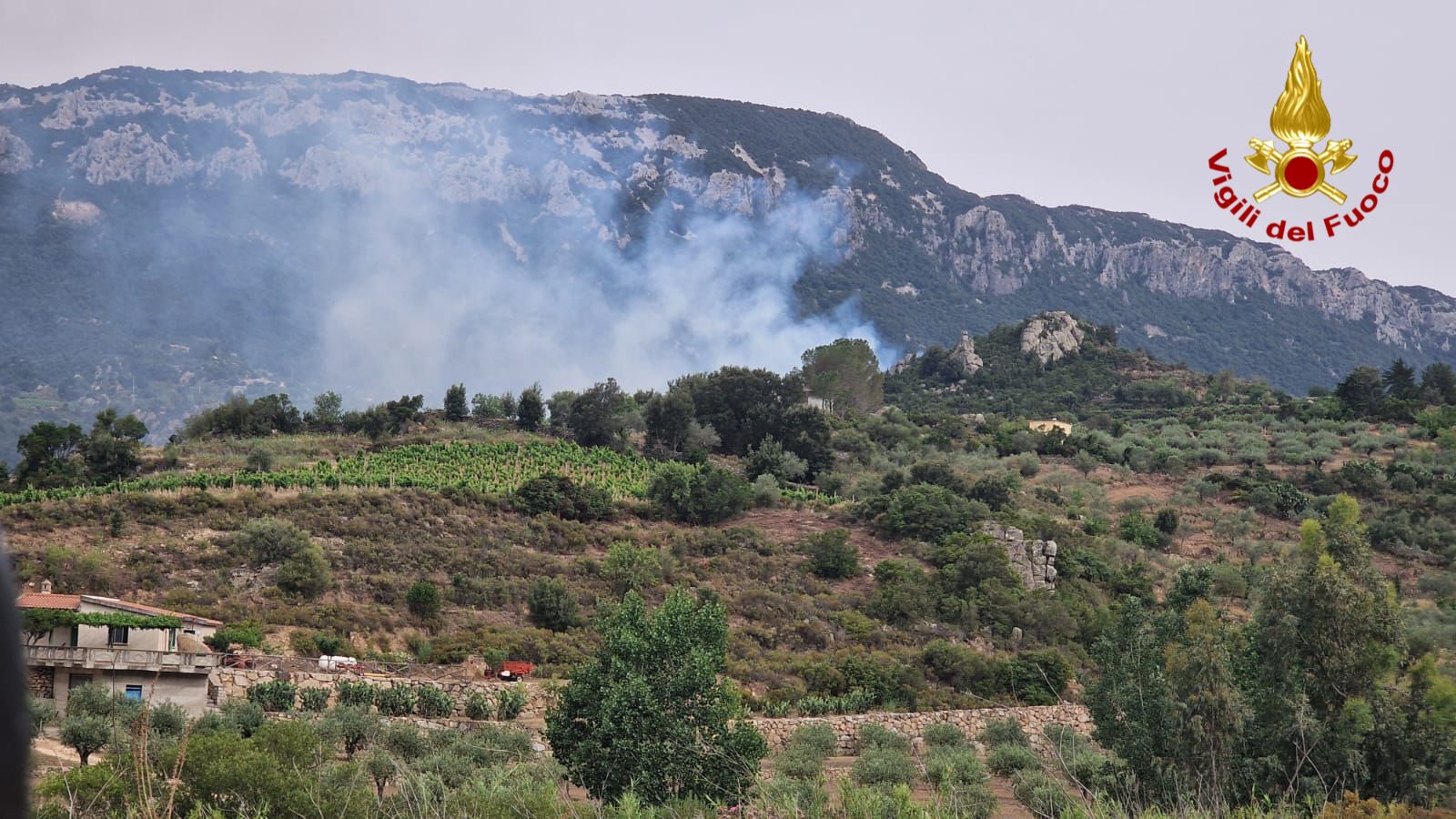Vasto incendio nel dorgalese: canadair ed elicottero in azione 