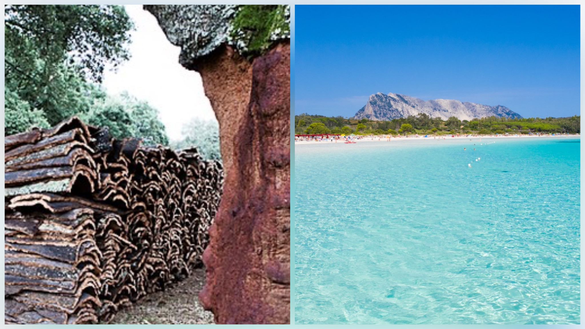 Olbia e Gallura protagoniste a Linea Verde