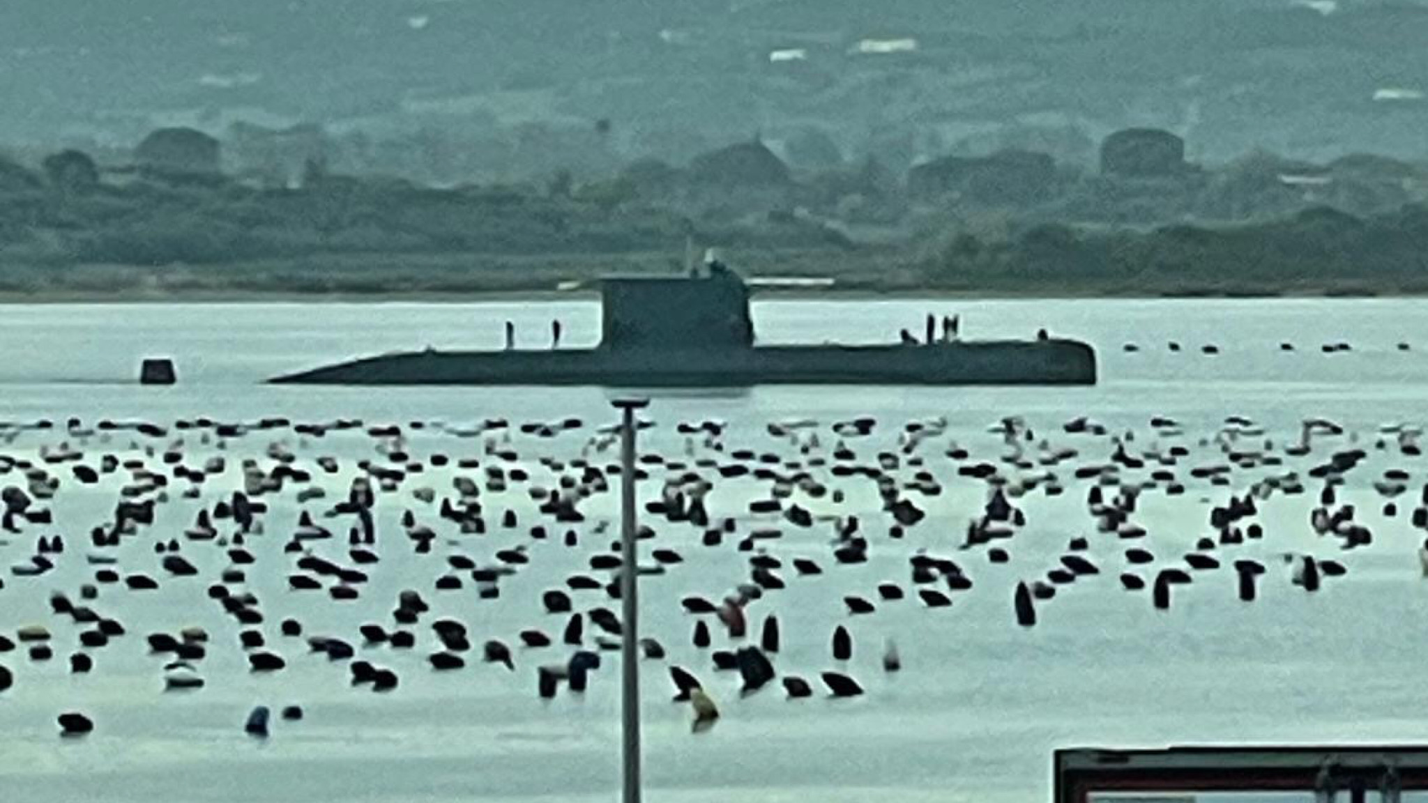 Olbia, avvistato un sottomarino a Cala Saccaia