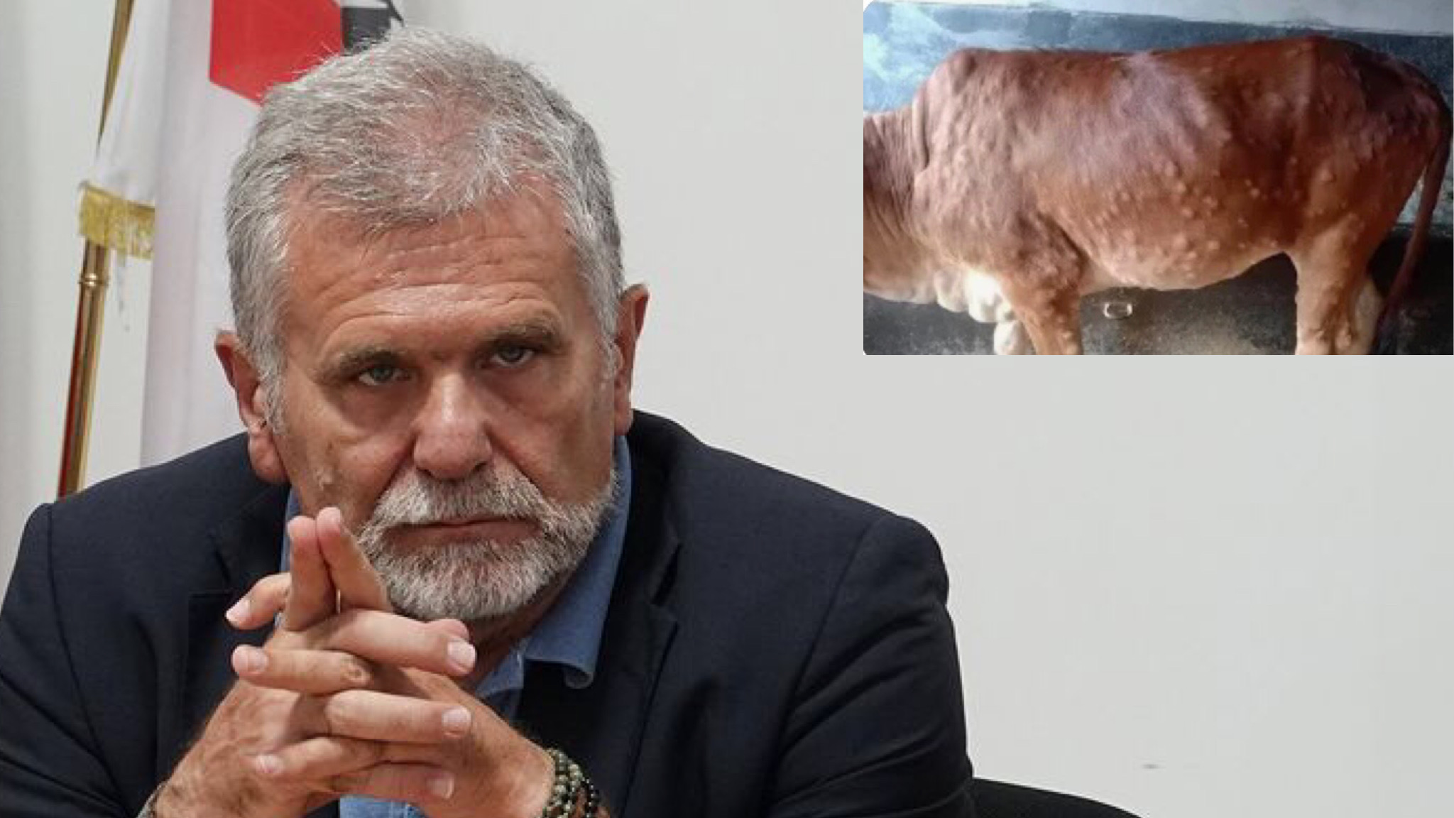 Accertato il primo caso in Sardegna di Lumpy skin disease: scatta l’allarme