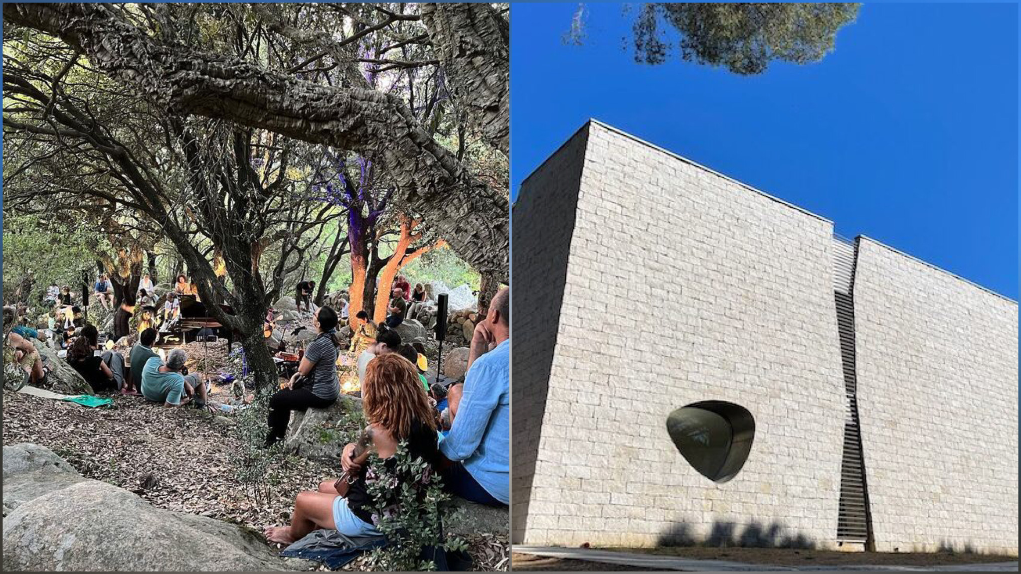 Tempio: il Museo Organica apre la nuova stagione