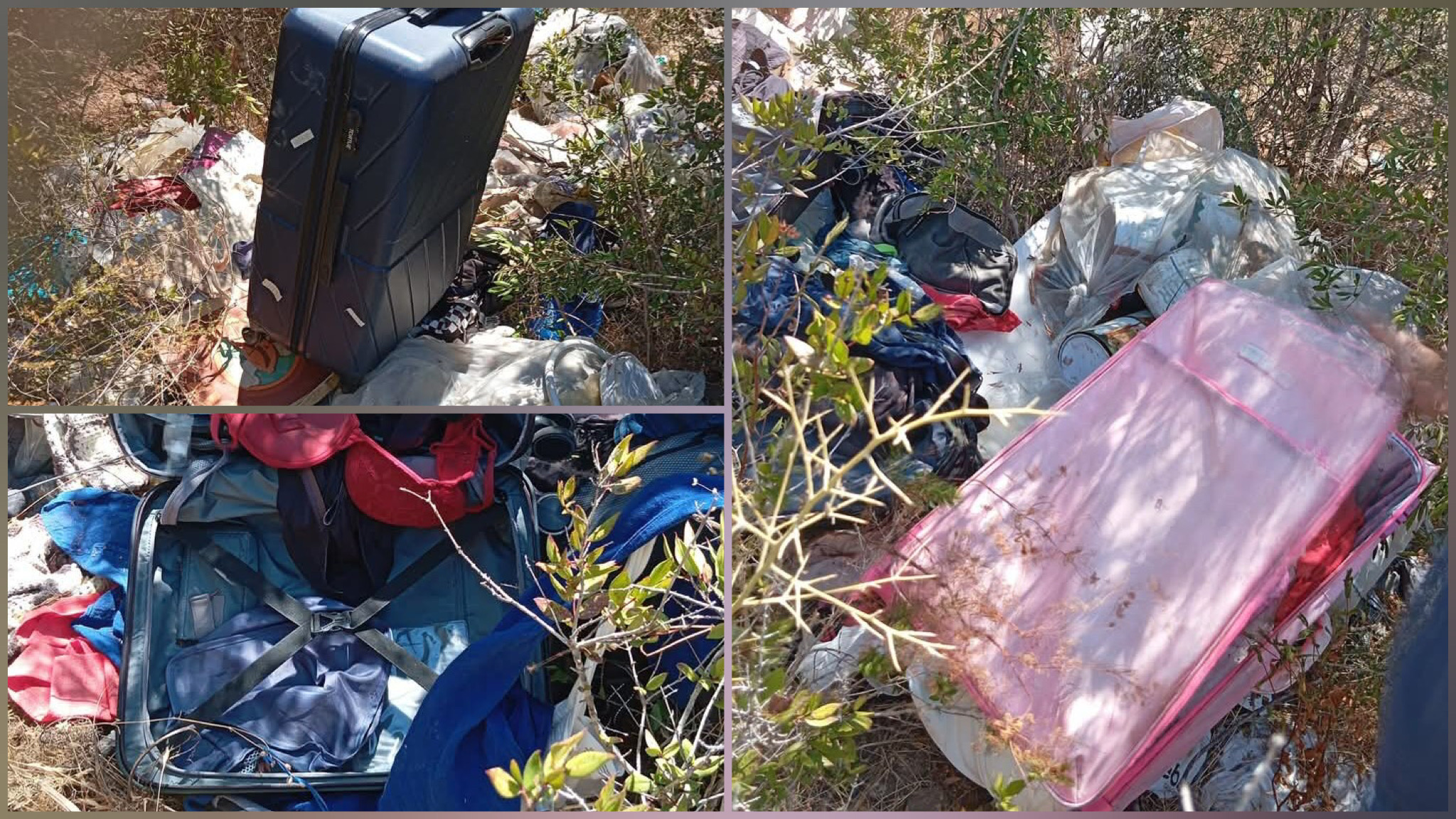 Olbia, dal furto dei bagagli al loro ritrovamento: la catena solidale rimbalza sui social