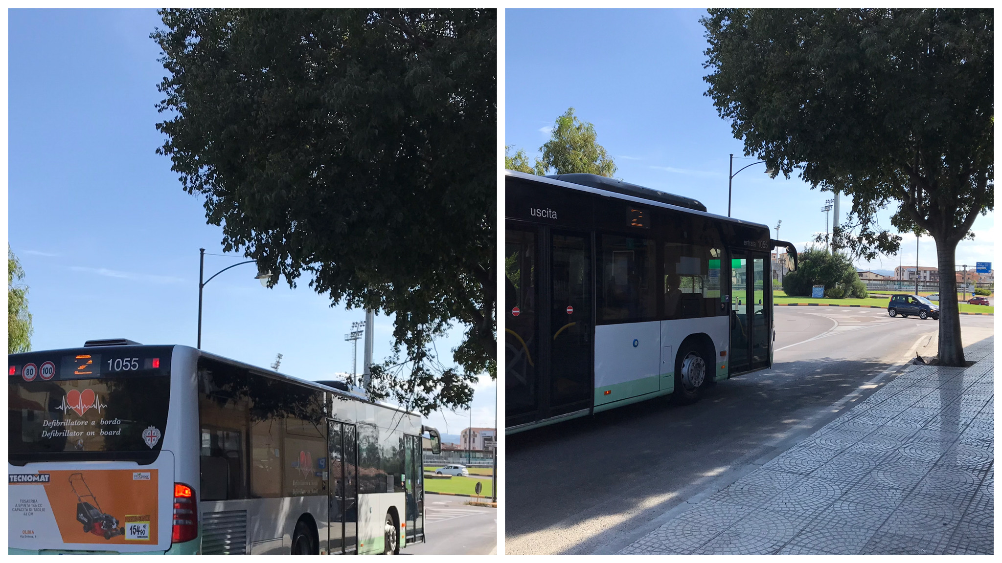 Olbia, albero pericolante in via Roma,arriva anche la segnalazione degli autisti del trasporto pubblico