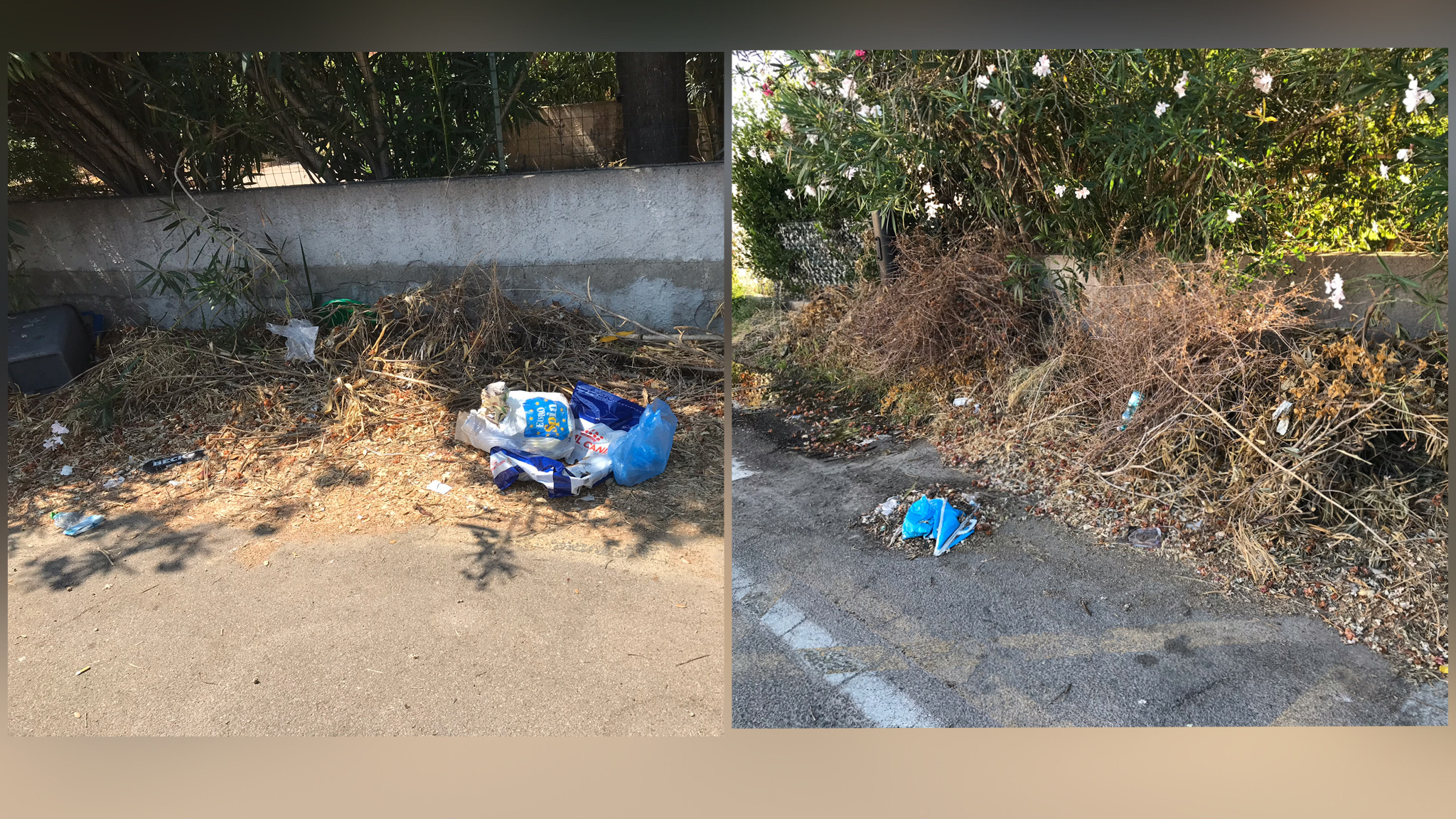 Olbia, via Ferrara sotto ostaggio di erbacce e rifiuti