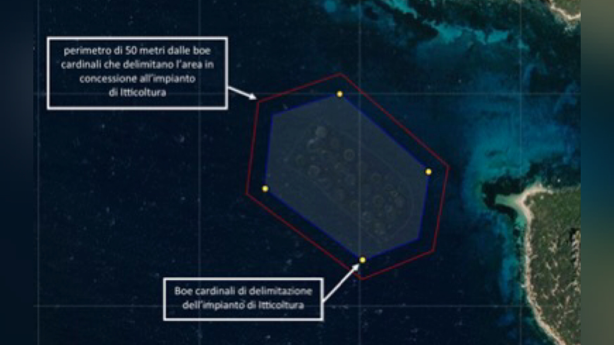 Golfo Aranci, tutelare i delfini e navigare in sicurezza