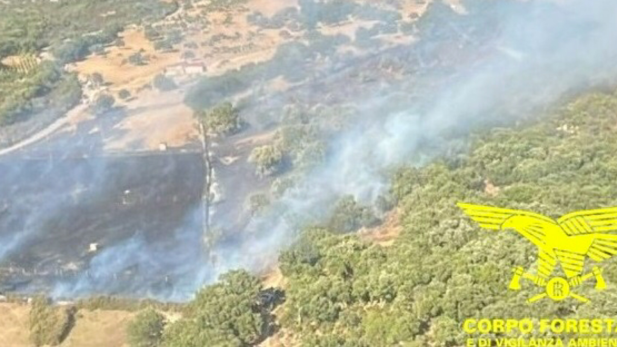Monti, incendio a Su Conculu: intervento del Super Puma
