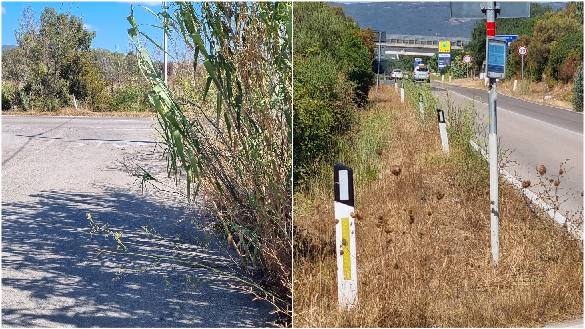 Olbia, zona Santa Maria tra cura e degrado