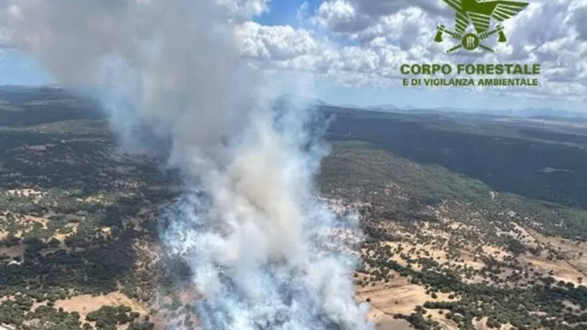 Buddusò, bosco in fiamme: all’opera quattro mezzi