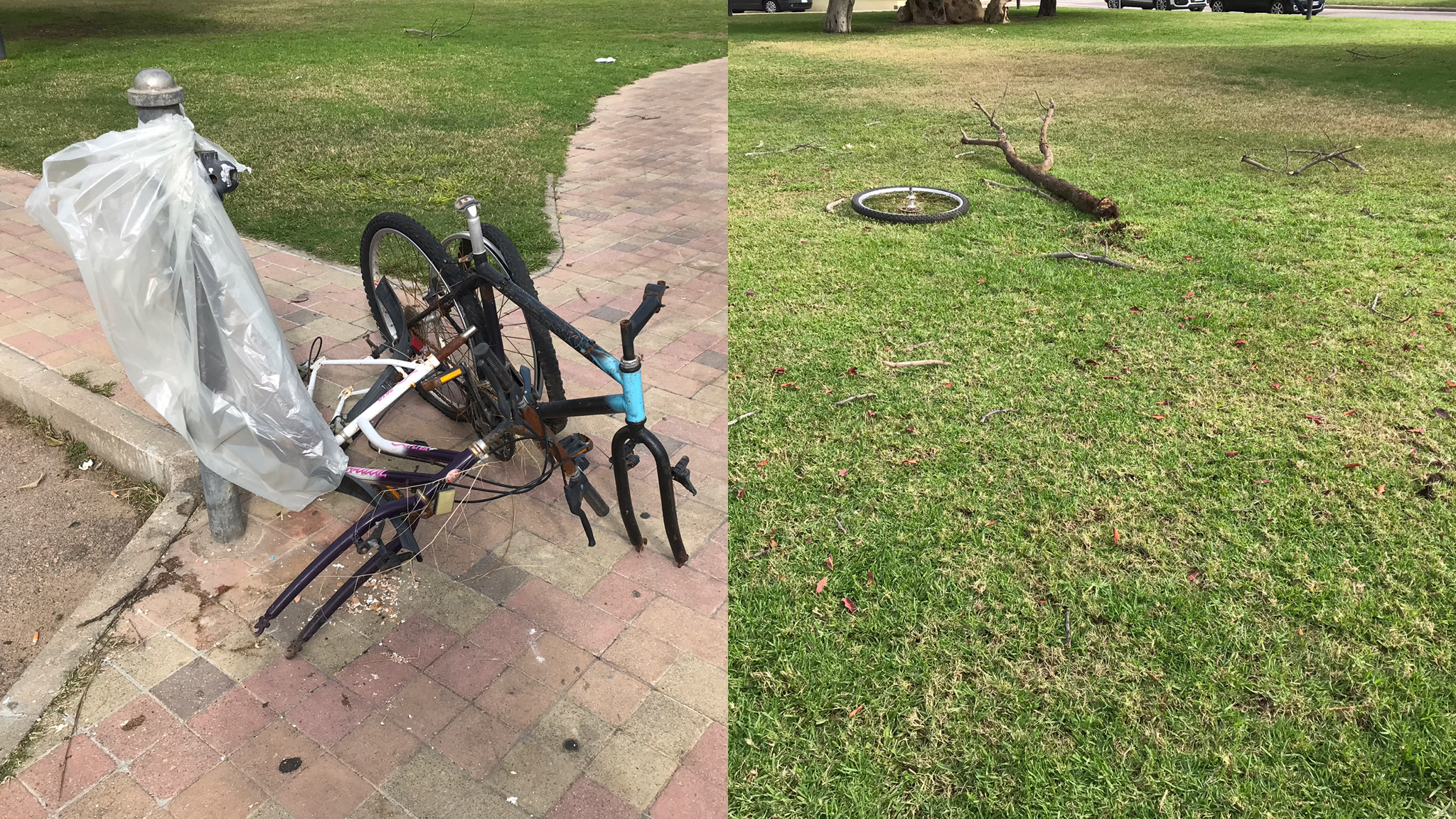 Olbia, rifiuti e rami divelti in piazza Martino Cossu