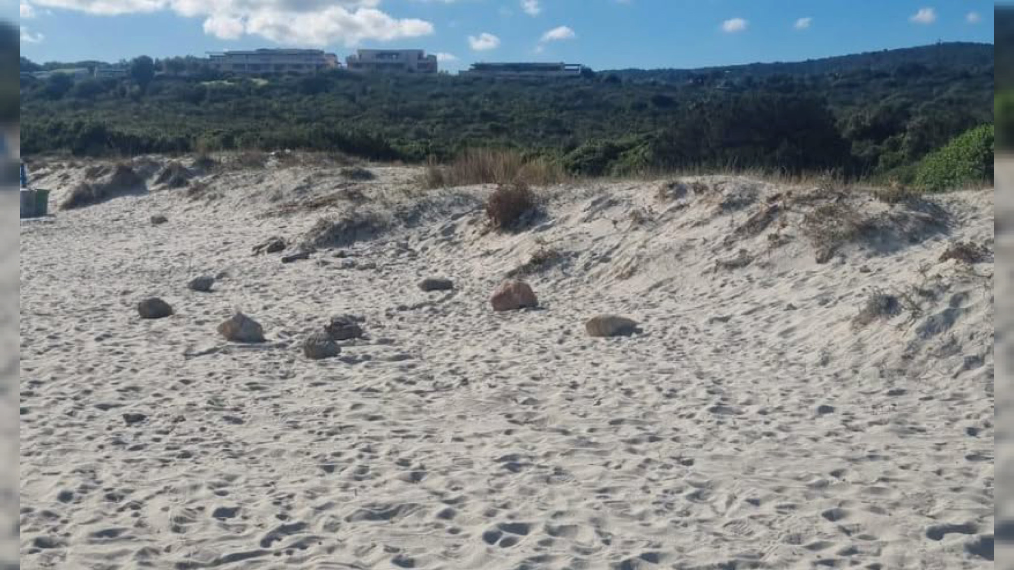 Olbia, la spiaggia di Rena Bianca ripulita dopo la segnalazione