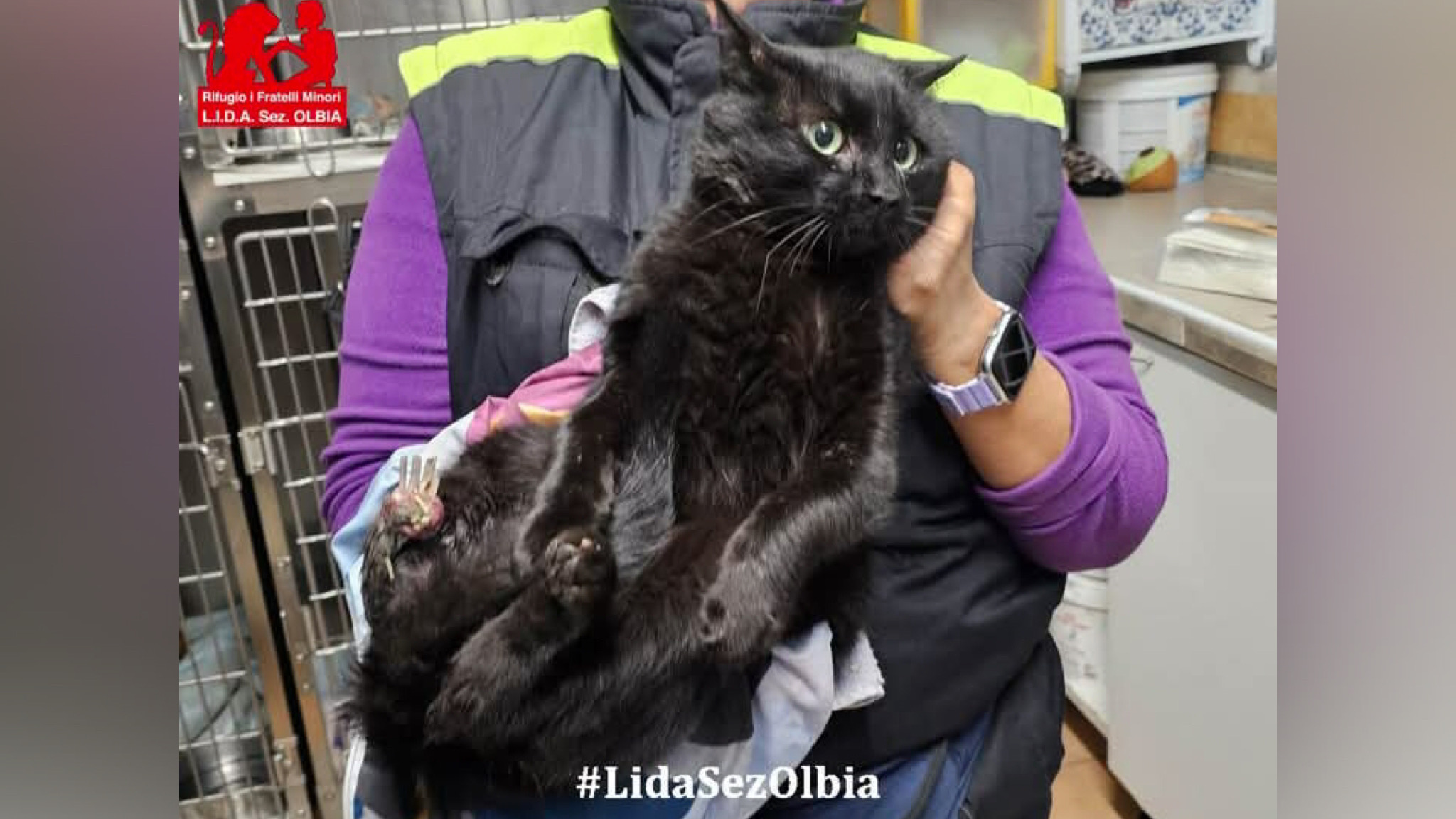 Olbia, dalla Lida una nuova storia di resilienza dopo Giada ecco la storia di Gemma