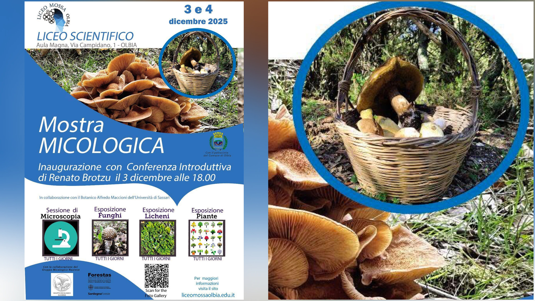 Olbia, il Liceo scientifico L.Mossa ospita la seconda edizione della Mostra Micologica