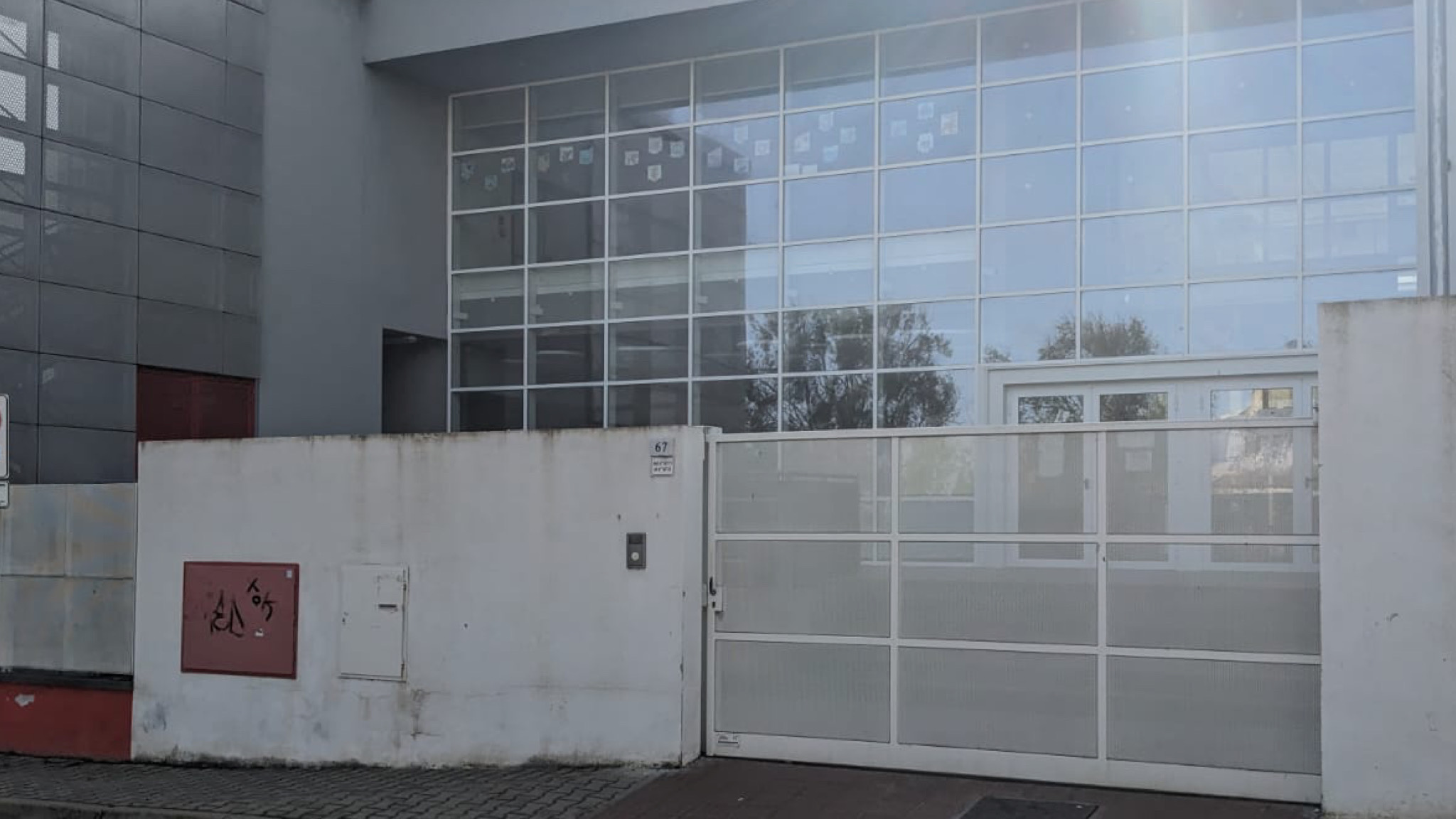 Olbia, infestazione di topi nella scuola primaria Maria Rocca