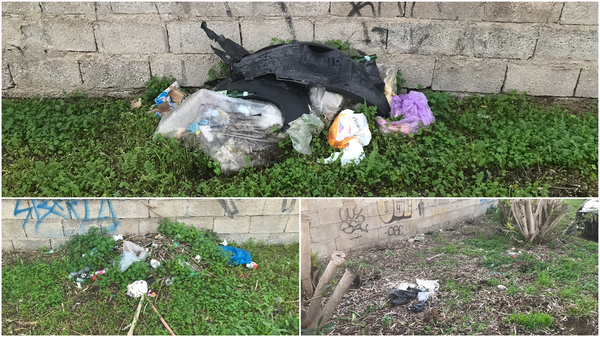 Olbia, taglio siepi con sorpresa