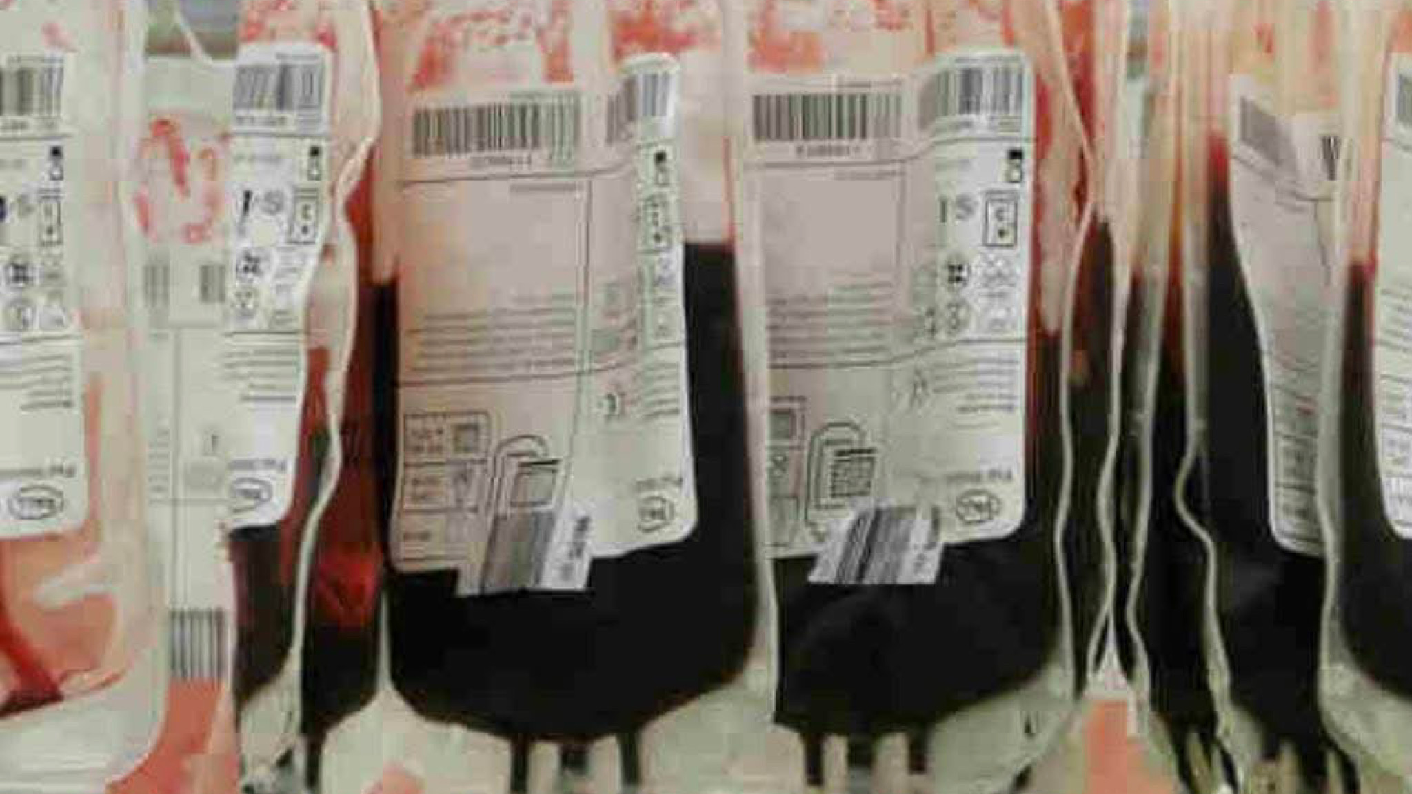 Avis Olbia, appello a donare alle categorie “libere” da impegni scolastici