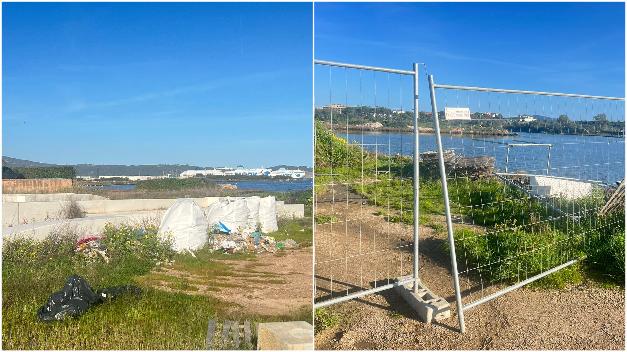 Olbia, i fenicotteri costretti a vivere vicino a una discarica di rifiuti 
