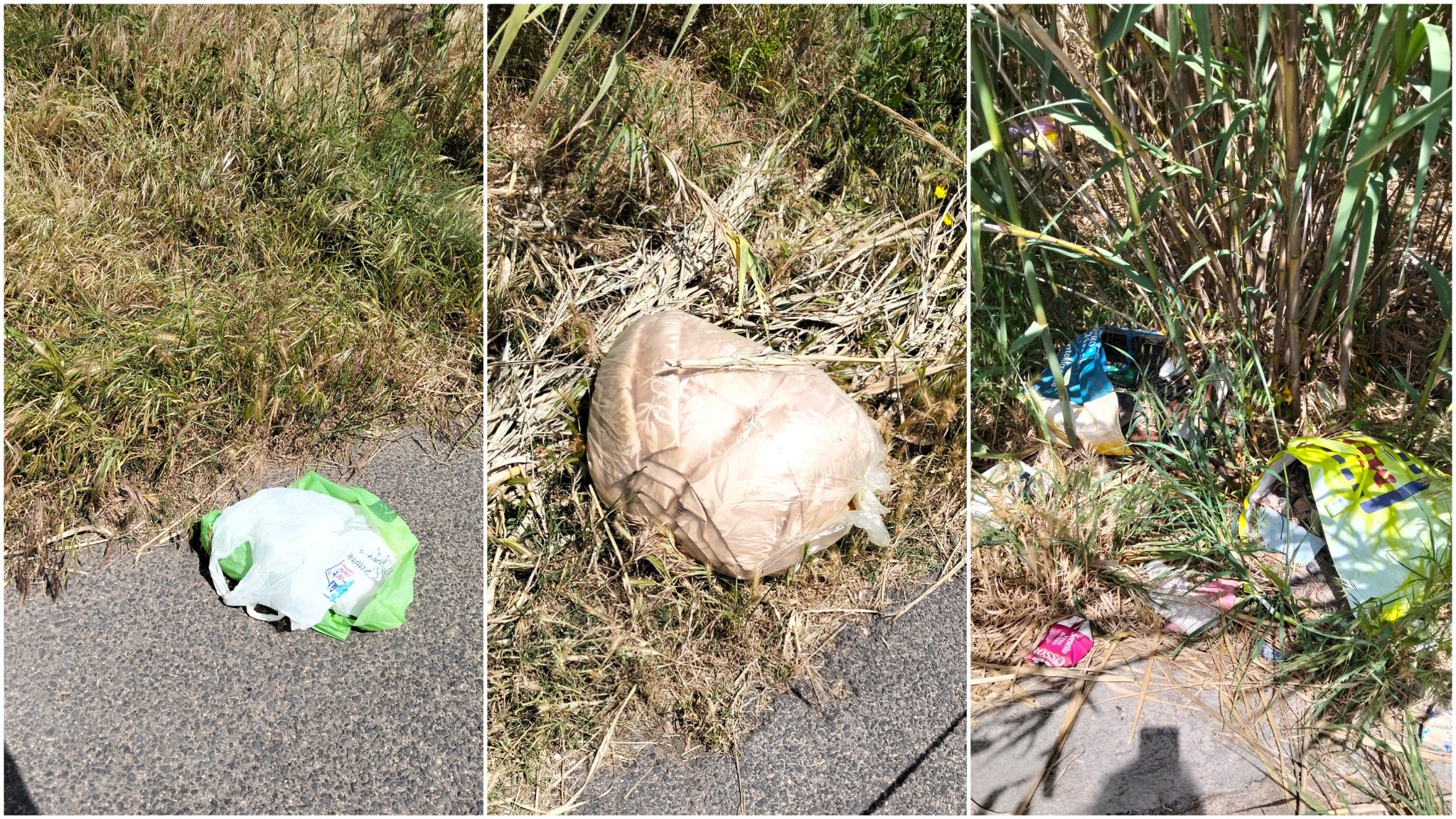 Olbia, rifiuti abbandonati in via Martino Bassi