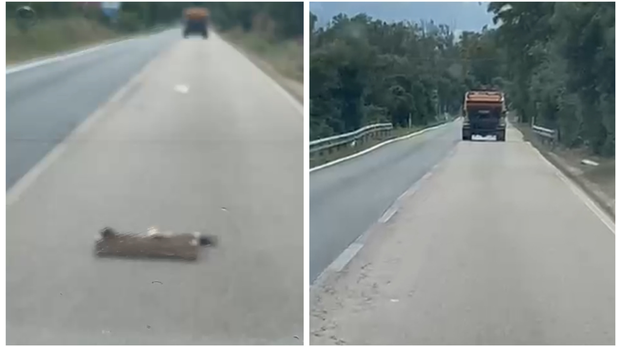 Olbia, viale Pittulongu come la strada di Pollicino