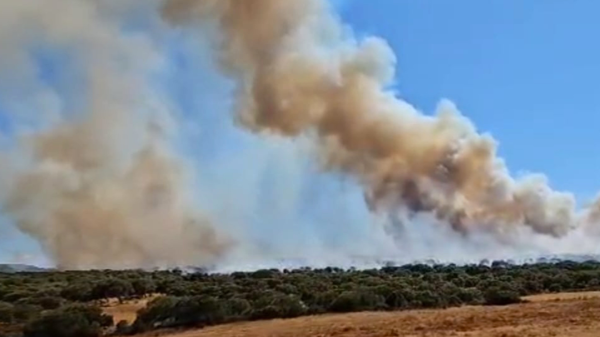 Oschiri, grosso incendio: fiamme sospinte dal vento minacciano le abitazioni 