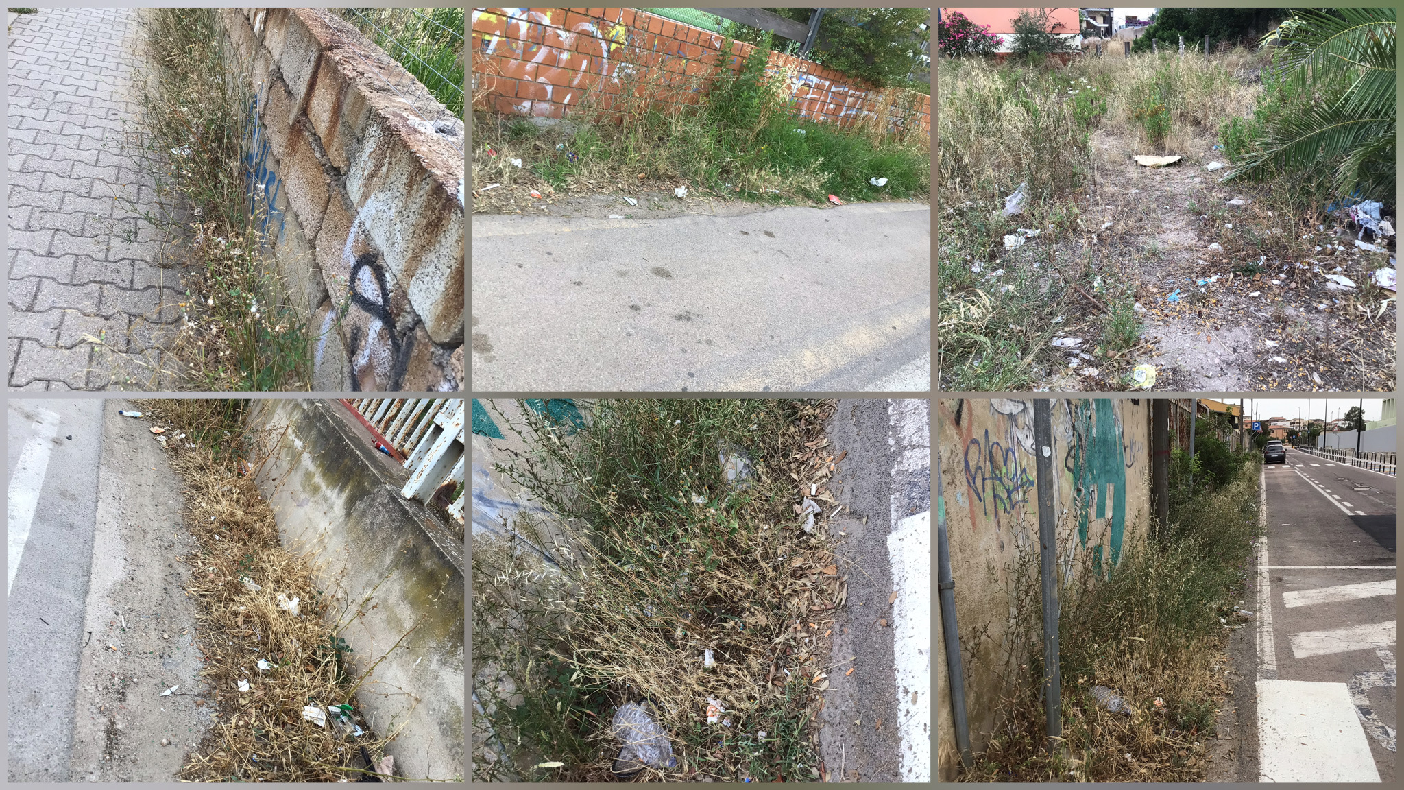 Olbia, erba alta e strade sporche: la segnalazione