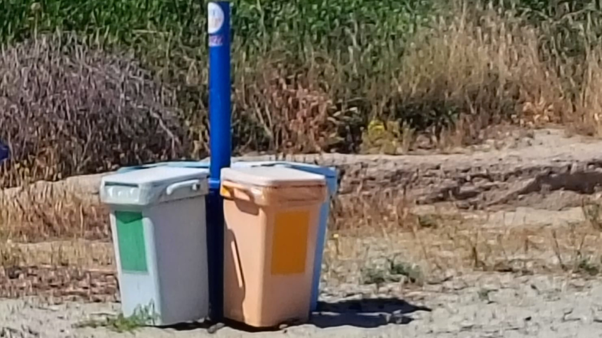 Spiagge senza cestini: scelta ambientale o disservizio? Il caso segnalato dai turisti