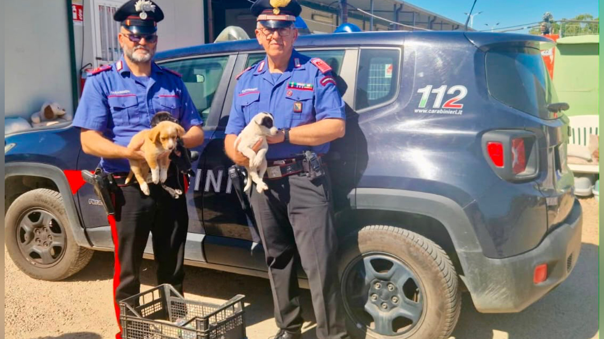 Golfo Aranci, cuccioli abbandonati sotto un ponte salvati dai Carabinieri dopo la segnalazione dei cittadini 