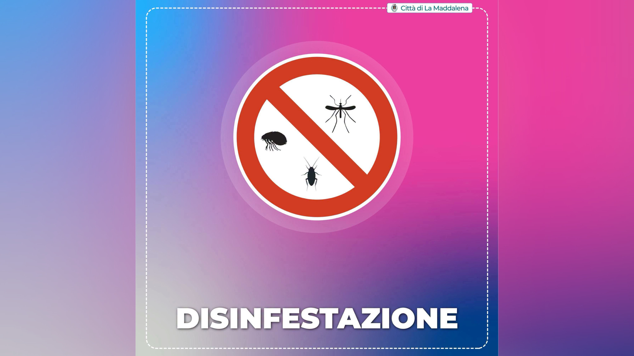 La Maddalena, intervento di disinfestazione contro zanzare, pulci e blatte
