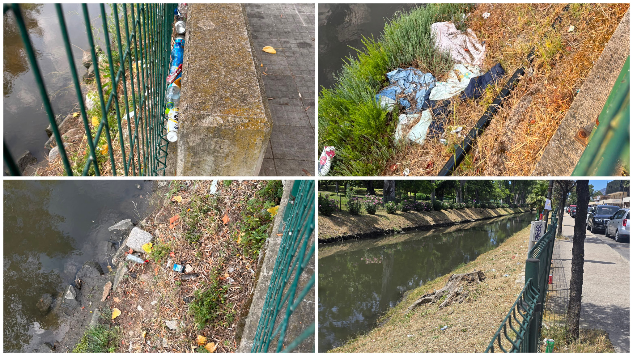 Olbia, Plastic Free interviene per ripulire la passeggiata Sos Salineddas
