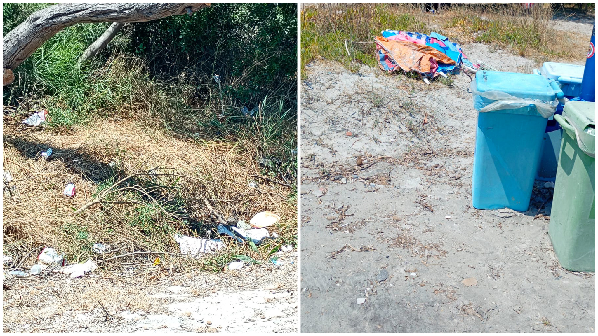 Olbia, dune con sorpresa alla spiaggia dello Squalo