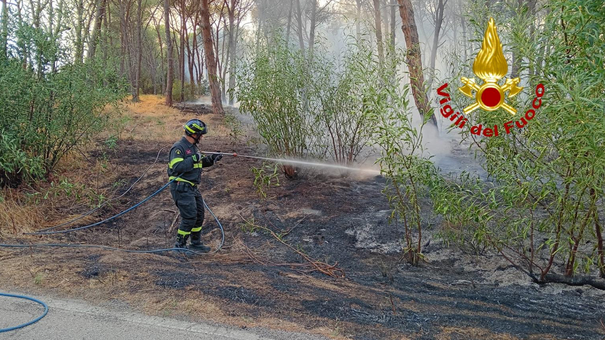 Aglientu, vasto incendio nella pineta: impegnate squadre di terra e aeree