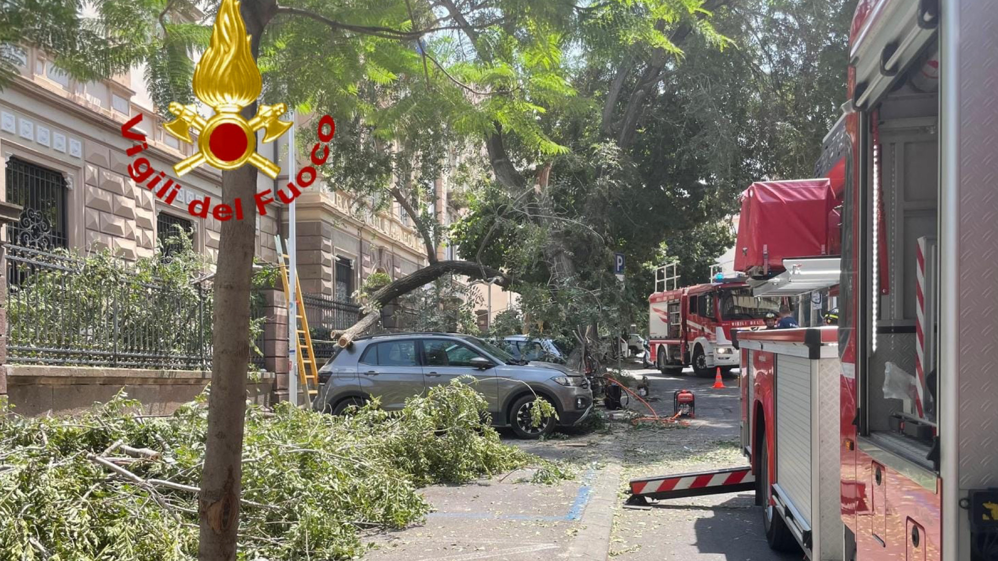 Crolla un albero su tre auto parcheggiate