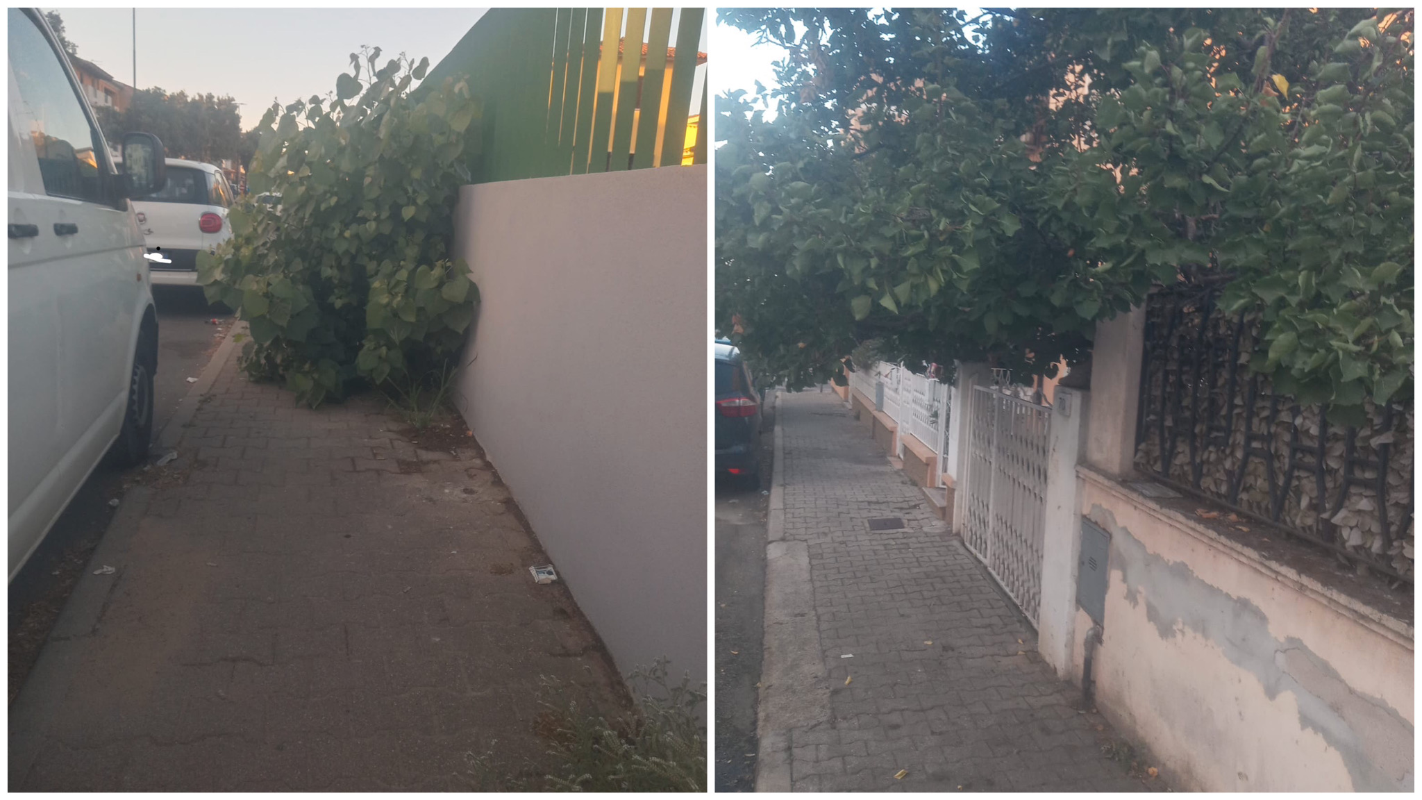 Olbia, il verde ribelle che conquista zona Bandinu