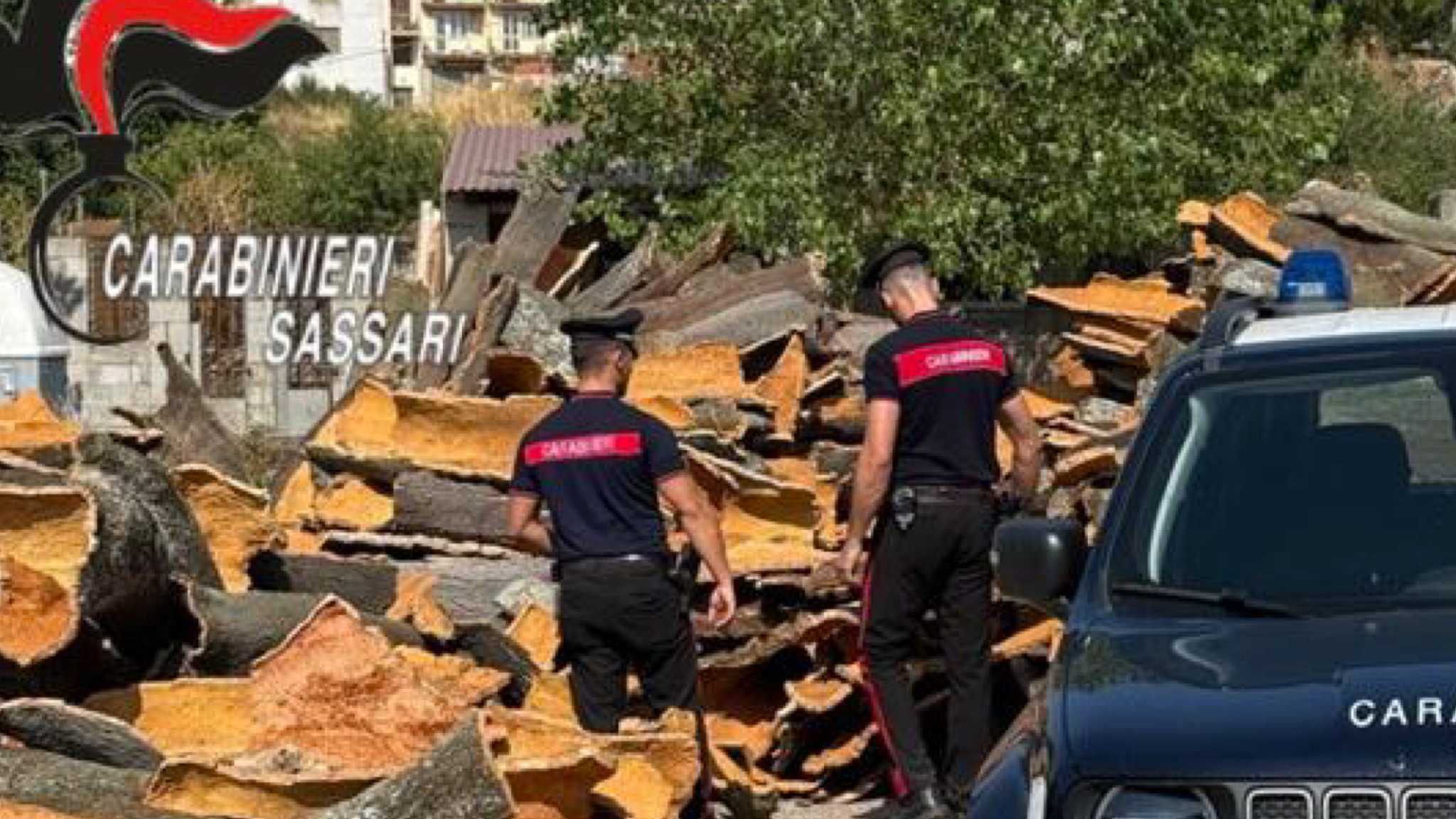 Buddusò, sequestrate quasi 4mila plance di sughero rubate: denunciato un uomo