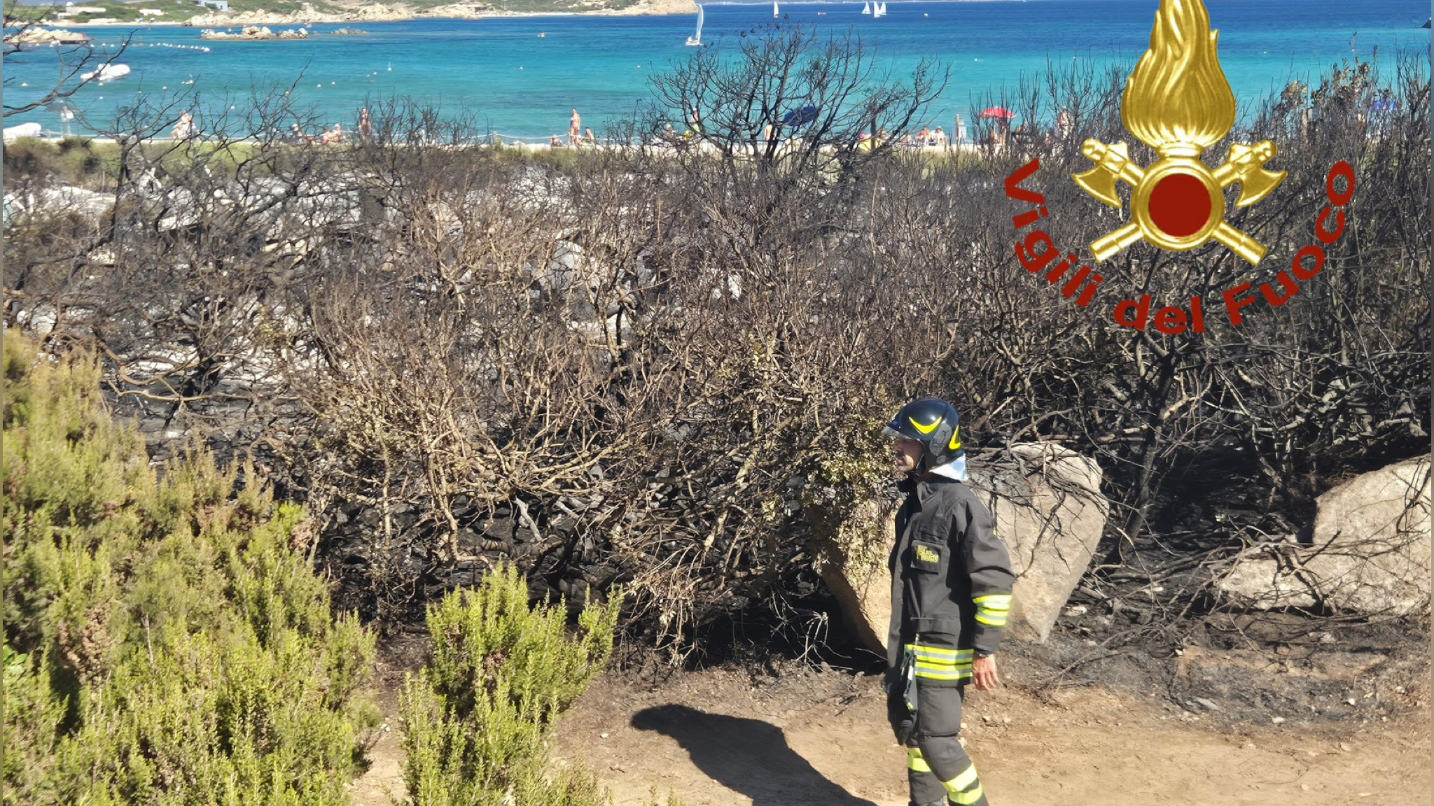 La Maddalena, incendio vicino alla spiaggia: a fuoco la macchia mediterranea e un chiosco