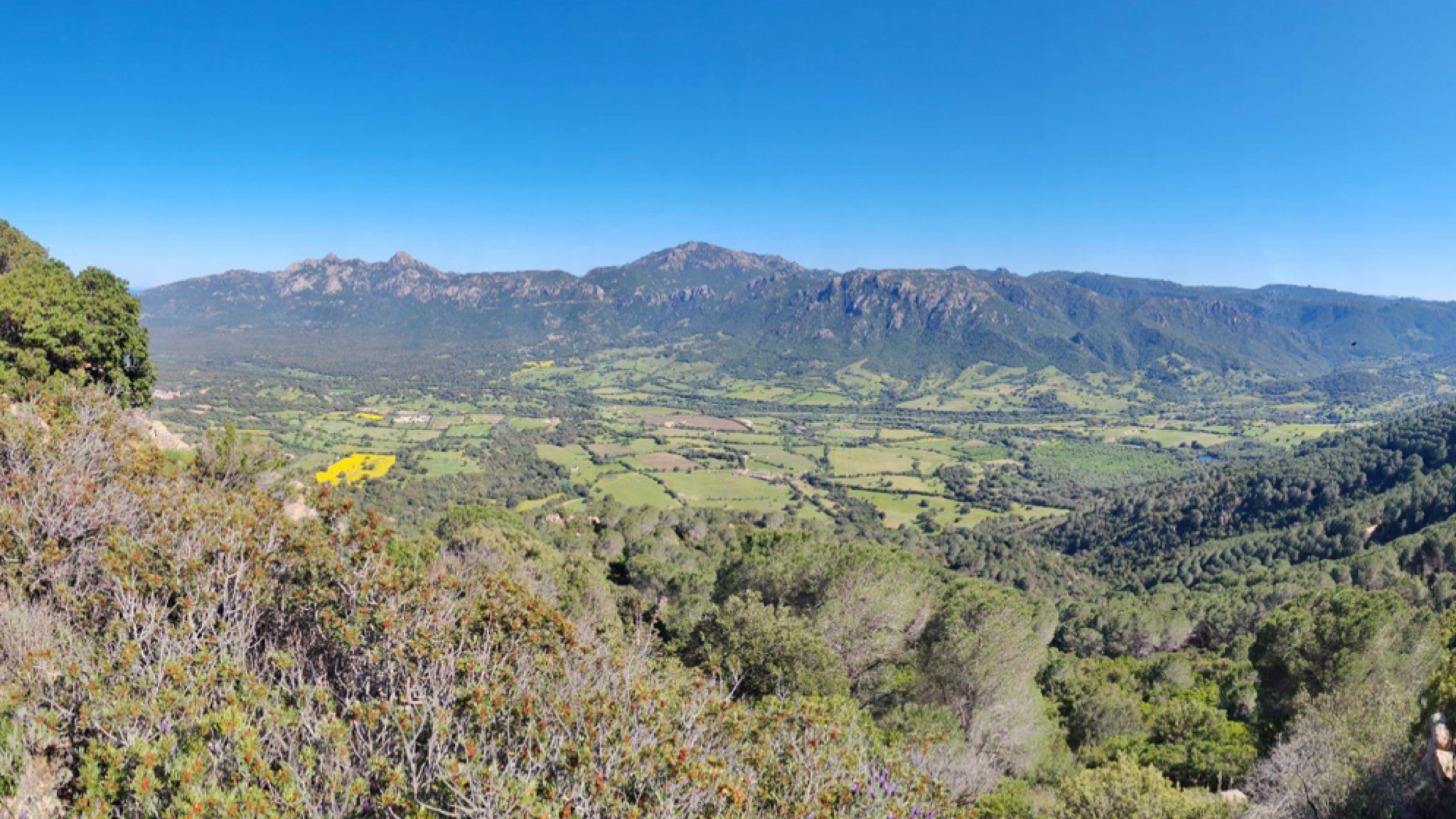 Foreste e clima: la Sardegna fa squadra