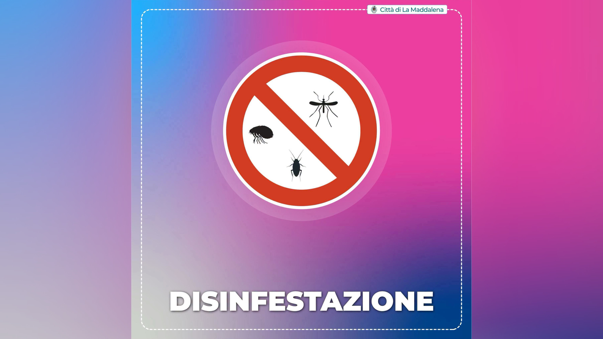 La Maddalena, disinfestazione: orari, vie e precauzioni
