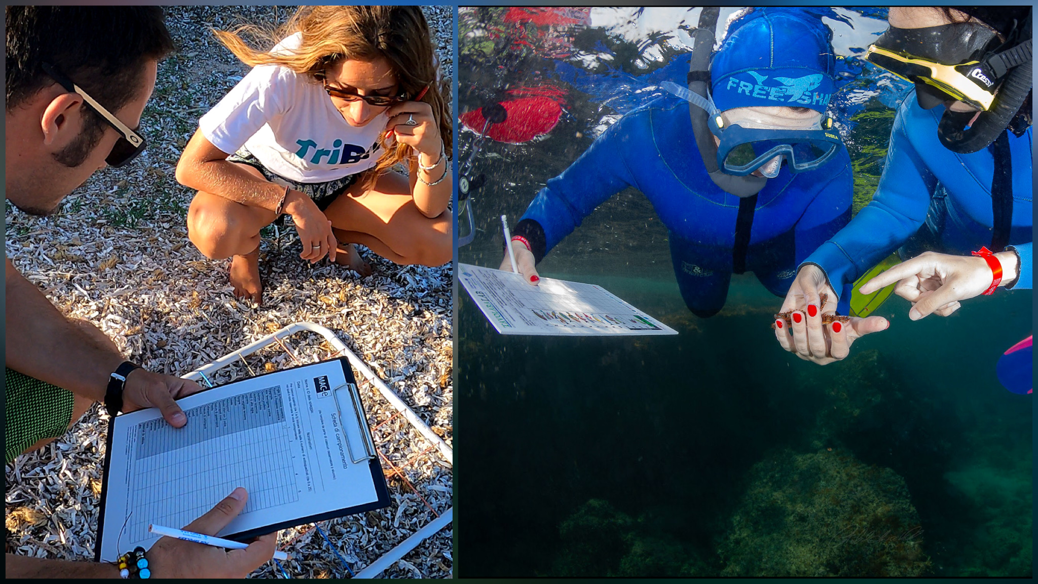 Giovani, formazione e tutela del mare: il Campus AMP torna a Tavolara